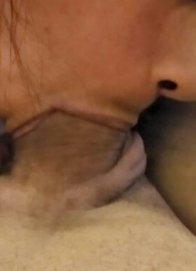 Portuguesa, Uma leoa na cama 