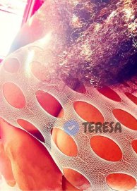 SAIDA A28 LARVA AVELEDA 910093231