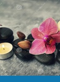 ALMADA VIP - SPA PRIVAD❤️ MASSAGEM ❤️ PROFISSIONAL